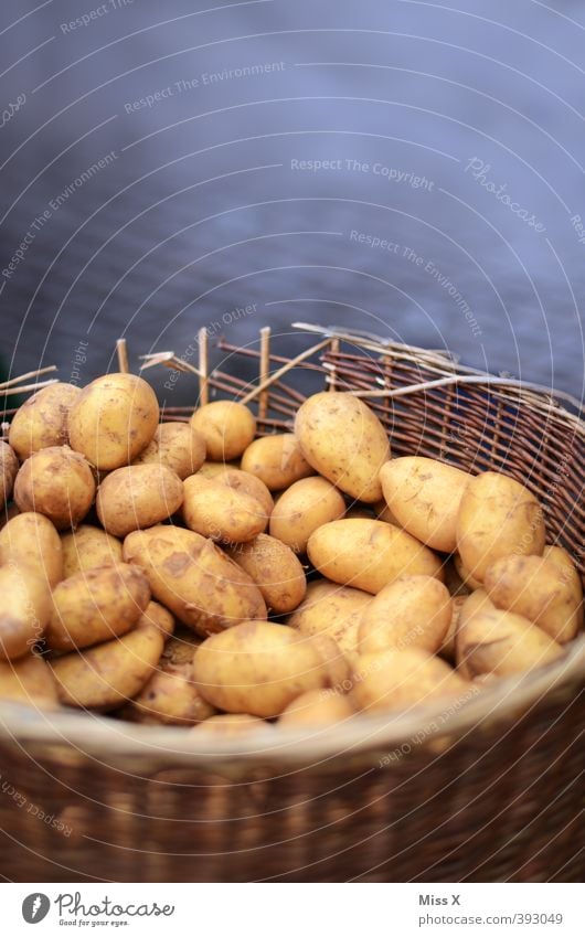 plant Food Vegetable Nutrition Organic produce Vegetarian diet Dirty Fresh Healthy Delicious Brown Farmer's market Potatoes Basket Vegetable market Market stall