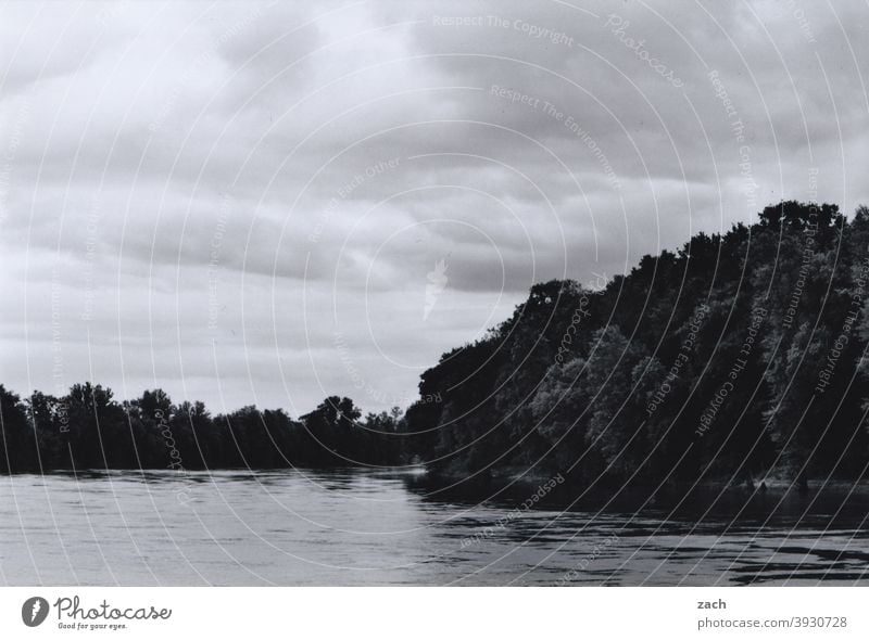 banks of the Elbe River Water River bank Forest Lake Flow Sky Clouds Black & white photo