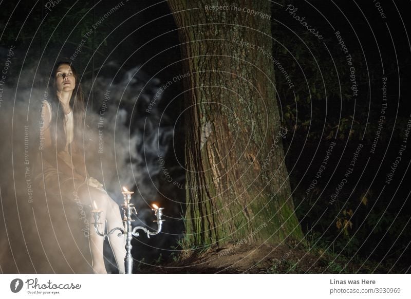 It’s dark outside and the chandelier is lit up. Spooky trees and smokes are all around. A gorgeous brunette model is dressed in a white dress and white gloves. She’s looking bored and waiting for someone on a swing.