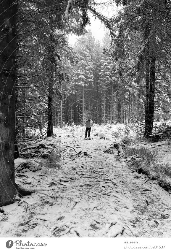 In the winter forest Snow Forest person Winter Tree Cold Ice Frost Nature Exterior shot Landscape White Environment Weather Snowscape Climate Winter mood Fog