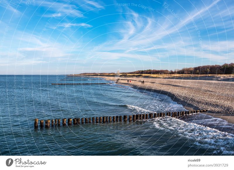 Groynes at the Baltic Sea coast in Graal-Müritz graal müritz Baltic coast Ocean Beach groynes duene Marram grass Waves Water Sky Clouds Blue