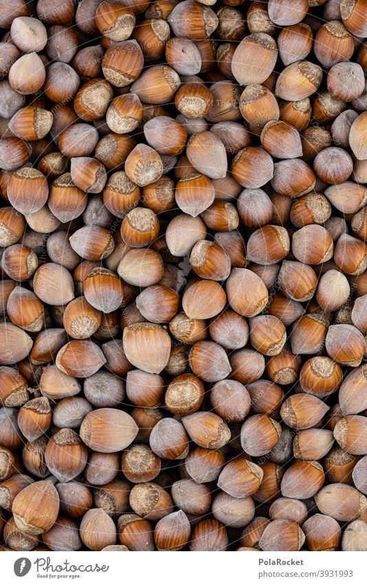 #S# Herd nuts Hazelnut hazelnuts Hazel brown shell waste Christmas & Advent Brown Many Food Nut Close-up Nutshell Deserted Vegetarian diet diverse Nut brown