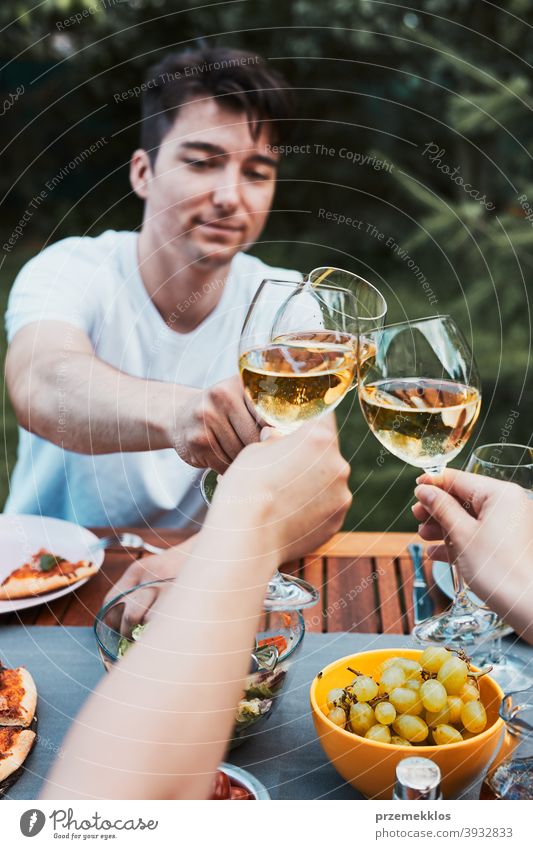 Friends making toast during summer picnic outdoor dinner in a home garden backyard beverage celebration dish drink eating family feast food friends fun