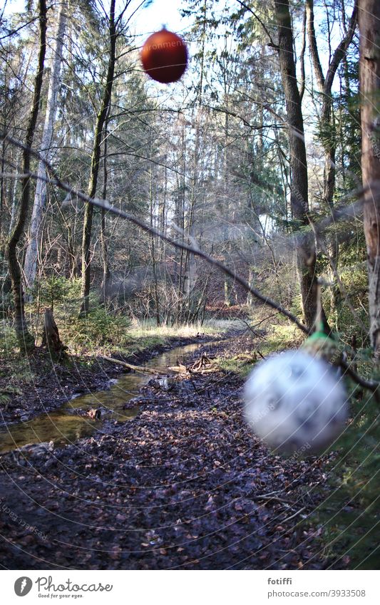 Christmas is over Forest Christmas & Advent Christmas decoration Decoration Winter Festive Tree Sphere blurriness Glitter Ball Christmas tree