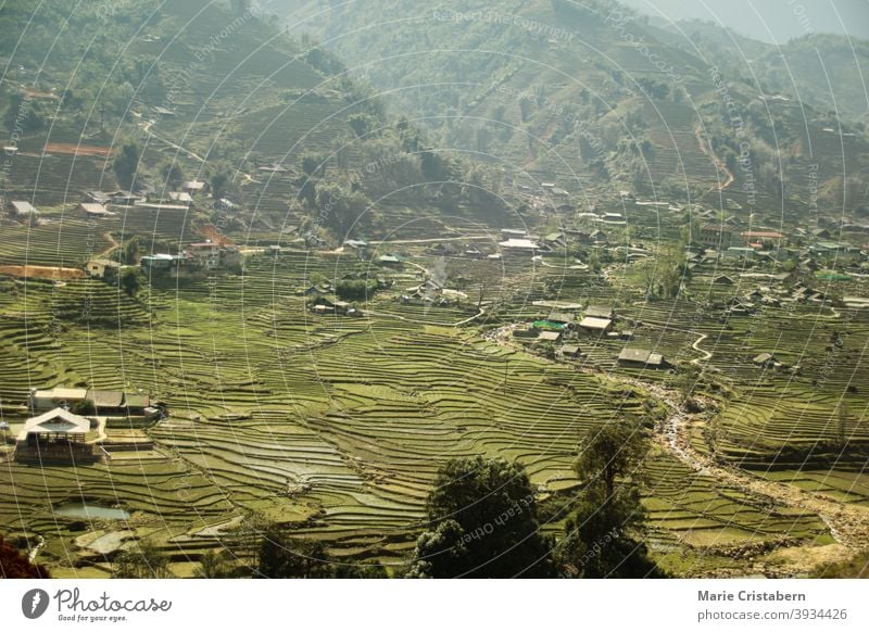 Traditional terraced rice paddy in Ha giang Province in Vietnam season aerial view no people tourist destination famous place foggy landscape rural landscape