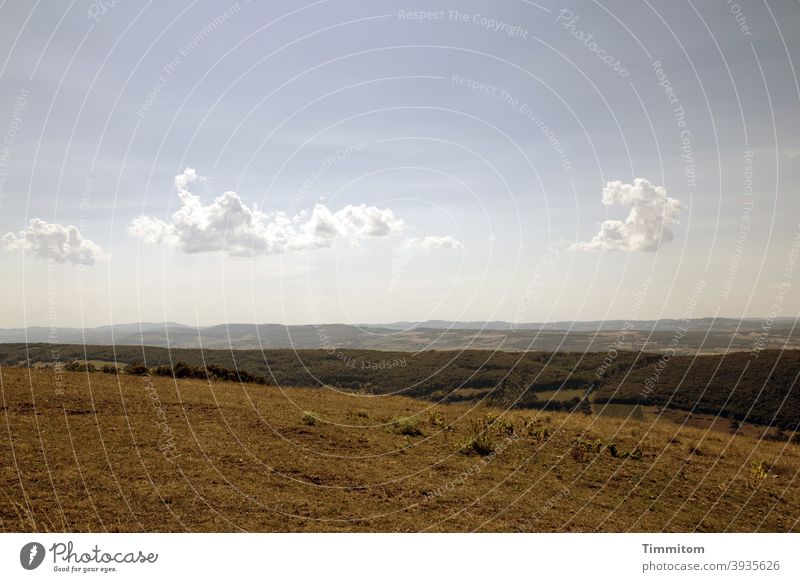 Summer warm landscape Landscape Warmth Hill meadows Smooth Dry Clouds Sky Beautiful weather Rest relaxation Burgundy France Deserted Nature Vacation & Travel