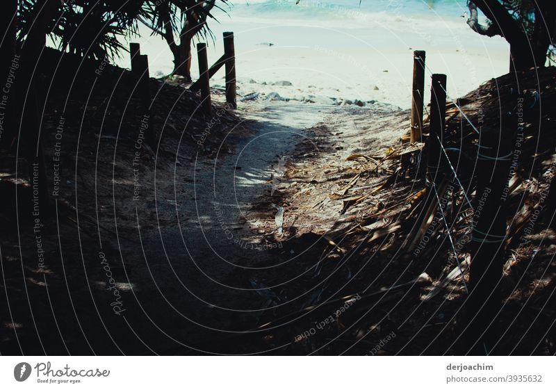 My way to the beach Way to the beach Nature Beach coast Ocean Summer Landscape Sand Water Lanes & trails Pole Fence palms Sunlight Shadow Vacation & Travel