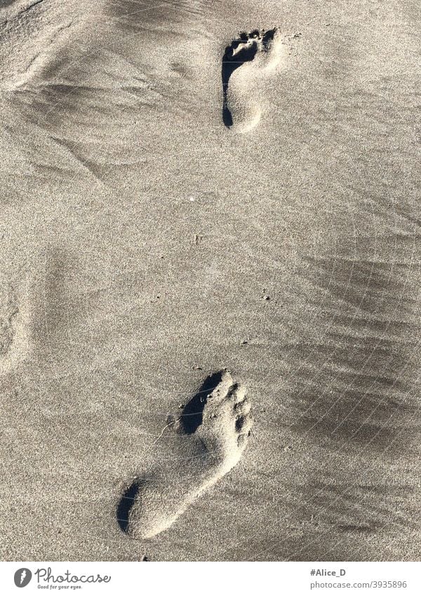 Barefootprints in the sand tourism barefoot travel footprints in the sand beach person coastline wet Mediterranean seashore lonely freedom alone human footstep