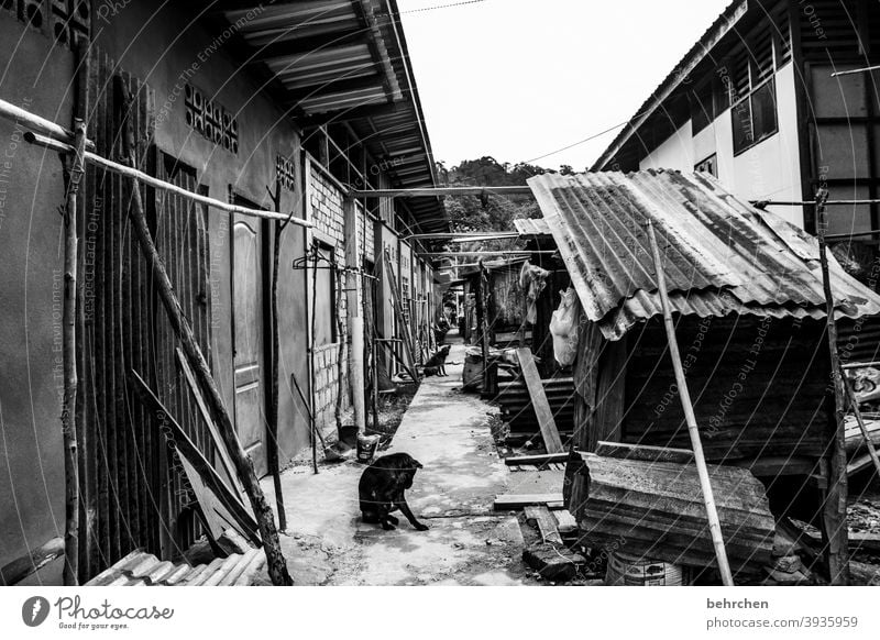 back to the roots | the life of the indigenous ethnic groups Life Idyll nostalgically Deserted especially Contrast Exceptional Asia Fantastic Tourism