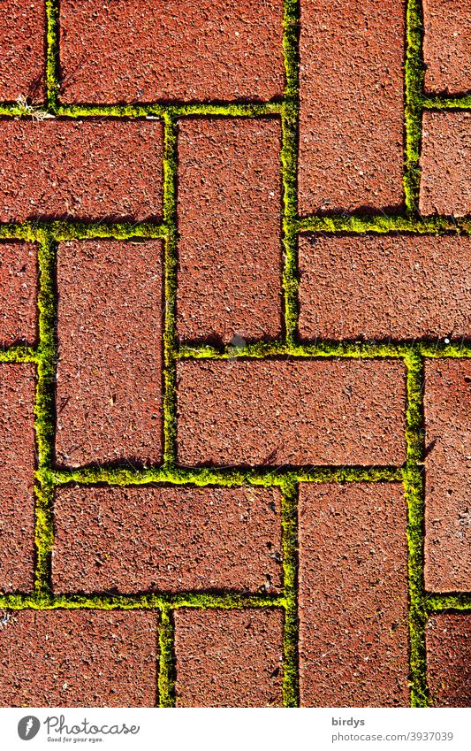 Moss-covered joints between floor slabs which are laid in herringbone bond. Graphical, bird's eye view Floor covering interstices Symetric Ground Stones