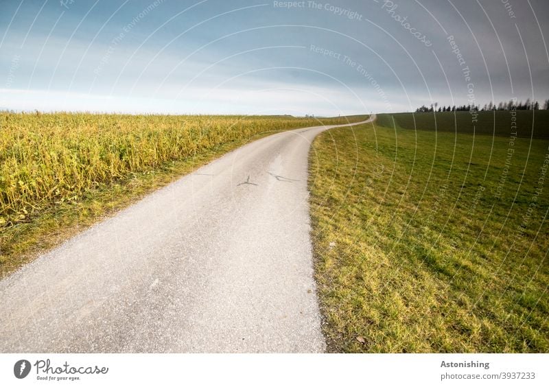 Road up the hill Street off path Landscape Grass Lawn Gray Asphalt Field Nature Agriculture Sky Horizon Blue Line wide Green Meadow Tree Clouds Exterior shot