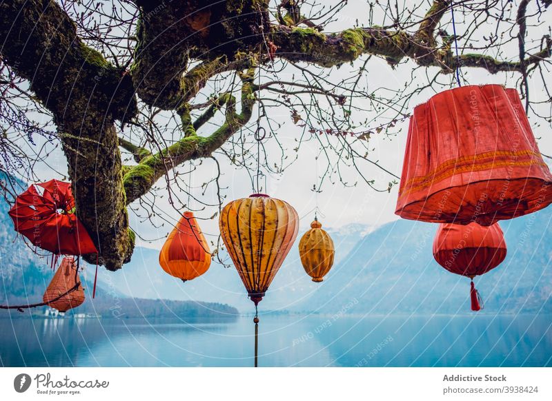 Decorative paper lanterns hanging from tree at lakeside in mountainous terrain nature landscape decoration scenic ridge branch gloomy hallstatt salzkammergut