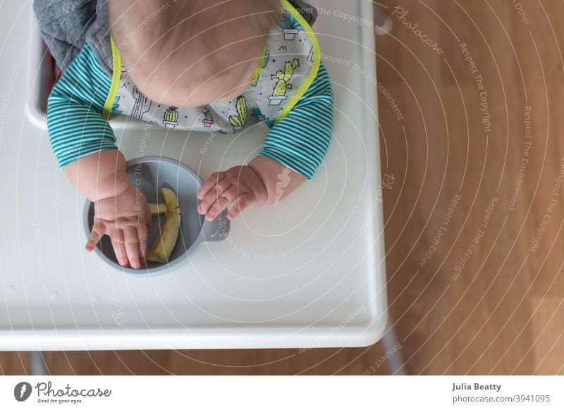 6 month old baby seated in high chair reaching into bowl of banana pieces; baby led weaning method first foods soft strips finger foods bib feed child hand