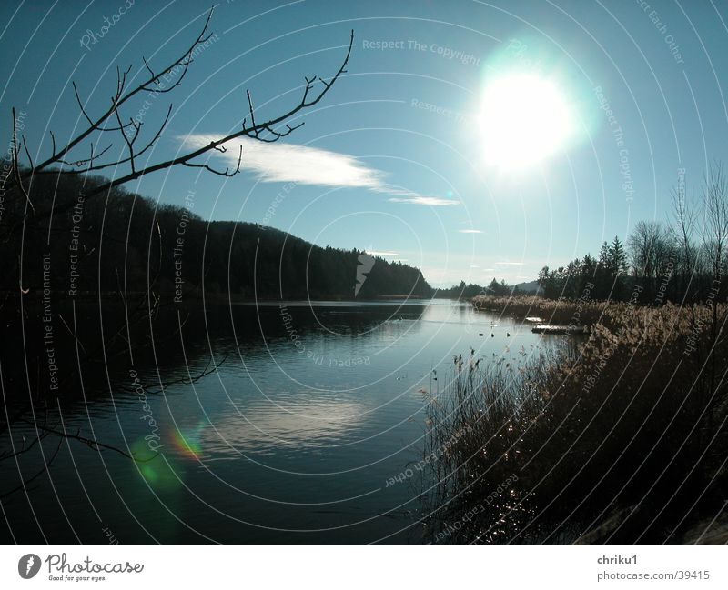 November Isar Autumn Back-light Common Reed Clouds River Sewer Water Coast Blue sky Branch