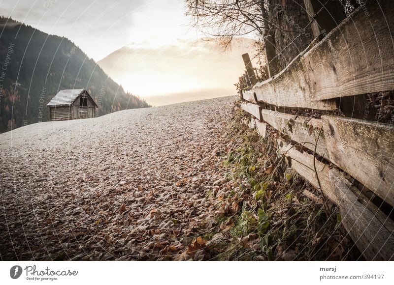 Frost alarm! Nature Landscape Sky Sunrise Sunset Spring Autumn Winter Climate Weather Beautiful weather Ice Meadow Hill Alps Mountain