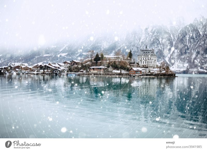 Iseltwald, Bernese Oberland, Switzerland in winter Winter Snow snowflakes Snowfall Mountain Alps Lake Water Thun Brienz lake Blue Cold Tourism Destination