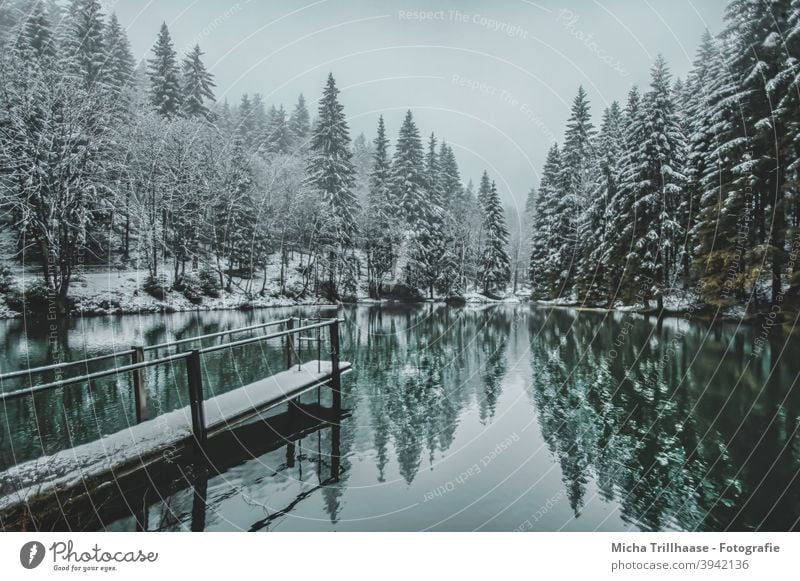 Winter landscape in the Thuringian Forest Pfanntalsteich oberhof Thueringer Wald Lake Water Snow Footbridge trees rail Reflections Nature Landscape Idyll