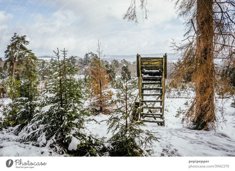 High seat in winter landscape Hunting Blind Hunter Nature Landscape Exterior shot Colour photo Forest Tree Wood Sky Field Clouds Green hunting Deerstalking Hut