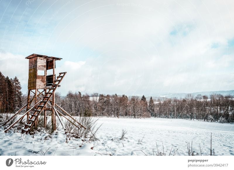 High seat in winter landscape Hunting Blind Hunter Nature Landscape Exterior shot Colour photo Forest Tree Wood Sky Field Clouds Green hunting Deerstalking Hut