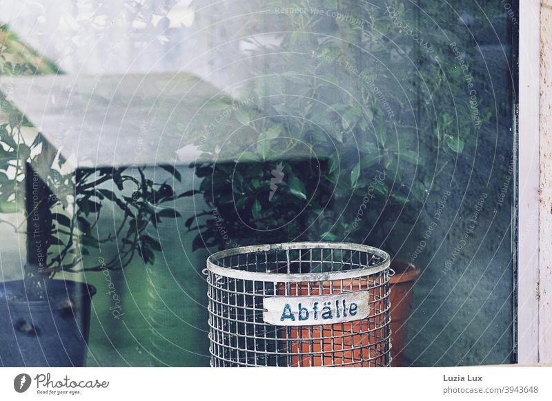 !Trash! 2020 View through the window of an empty showroom, reflections and evergreen pot plants Window Shop window Empty waste litter bins Reflection Green