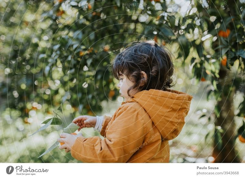 Little girl holding orange Orange Orange juice citrus Citrus fruits Child childhood Authentic Nature Natural Vitamin Colour photo Healthy Eating Fresh Nutrition