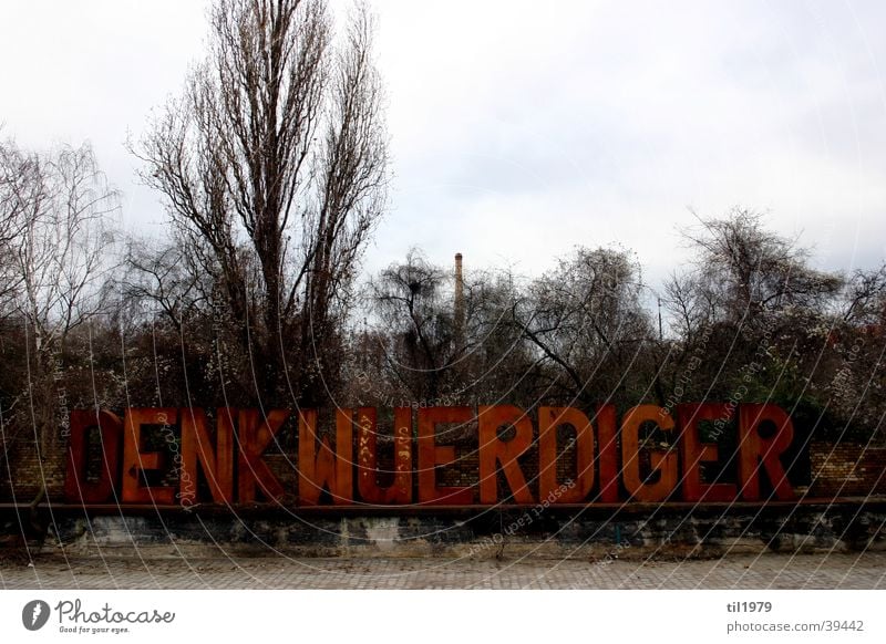 Memorable place Tree Winter Obscure memorable place Berlin triangular track railway station Sparse