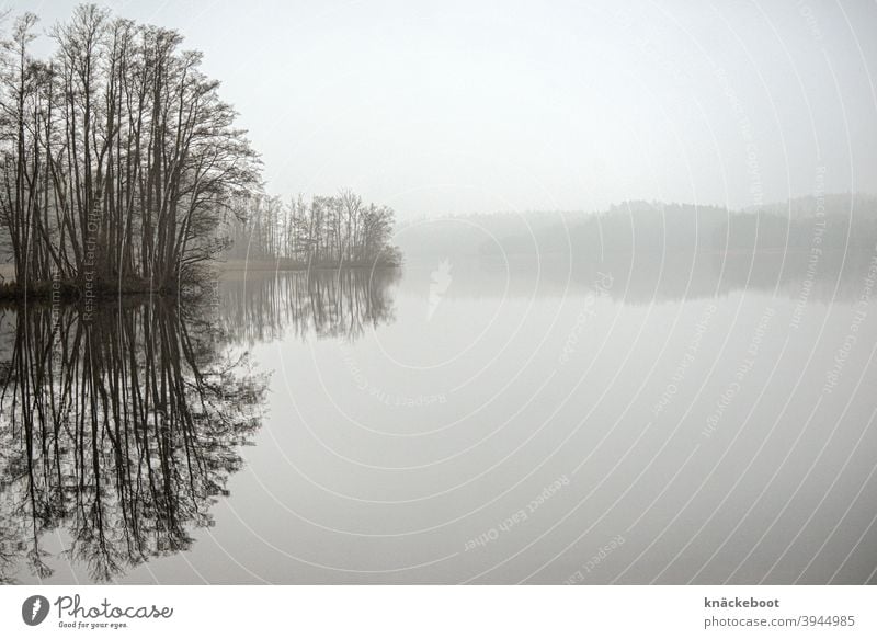 lake Lake Tree Water Reflection Calm Nature Lakeside Surface of water Winter Twilight Exterior shot Deserted Landscape reflection