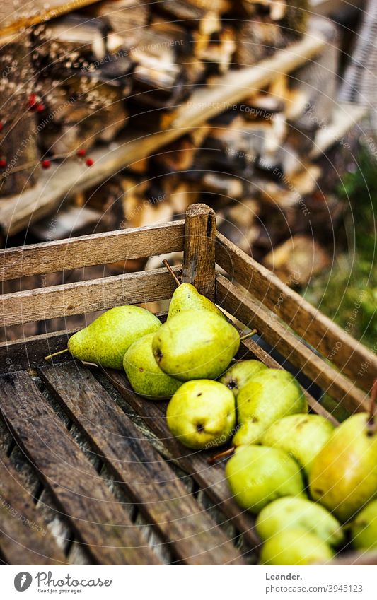 Pears in autumn pears Autumn Fruit basket Basket Autumnal Eating regionally Farmer's market Decoration Nature Organic produce takeaway food