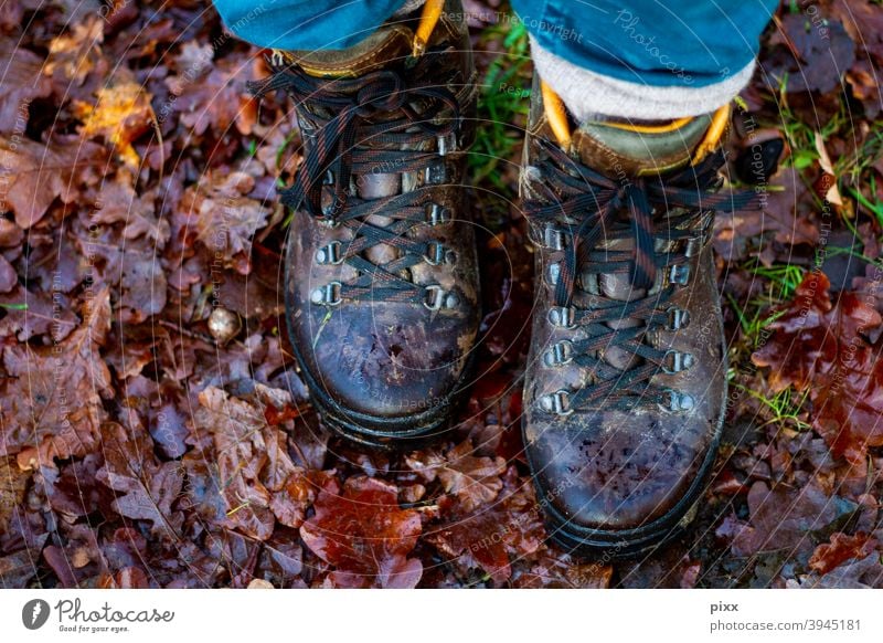 New Year's Walk 2021 Hiking Deciduous forest leaves Ground Walking To go for a walk Nature Hiking boots Footwear Woodground Forest flora Brown Bow Pants Autumn