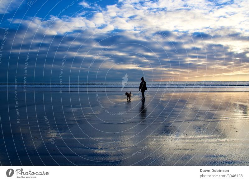 Silhouette of a lone person walking a dog across a wintery, wet sandy beach at sunset Ocean Sand Evening Clouds Dusk Water Reflection Relaxation Nature Breathe