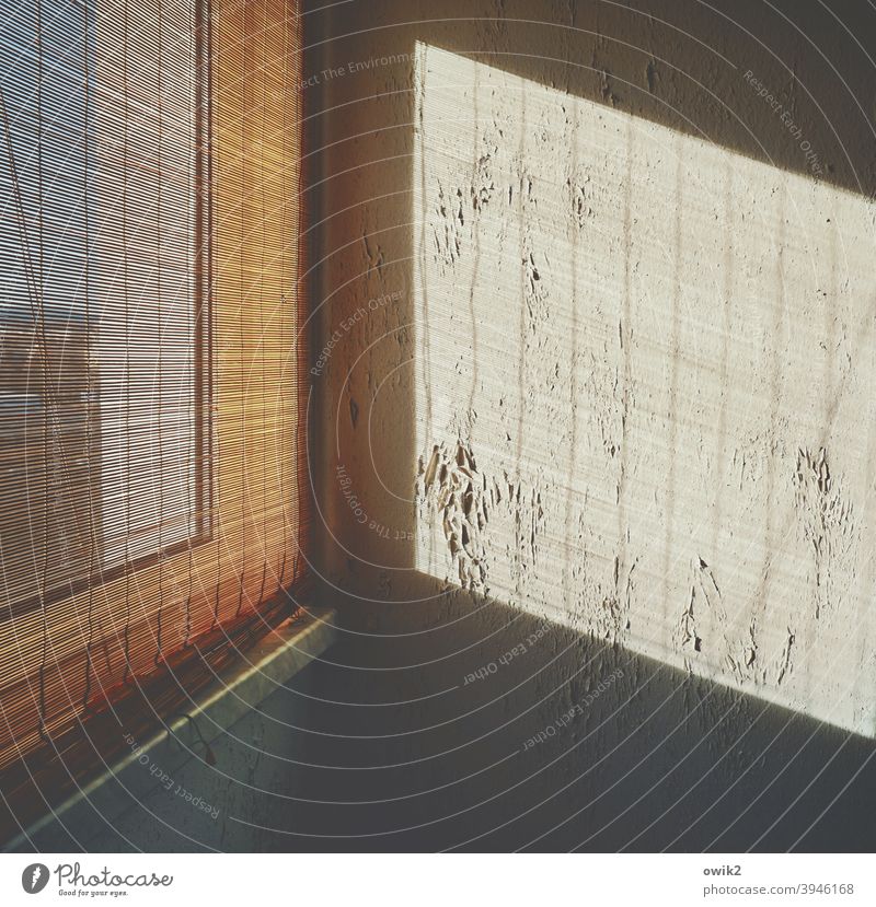 Coating Wall (building) Corner Window Wall (barrier) Old Broken Redecorate Shaft of light Contrast Pattern Detail Light (Natural Phenomenon) Simple