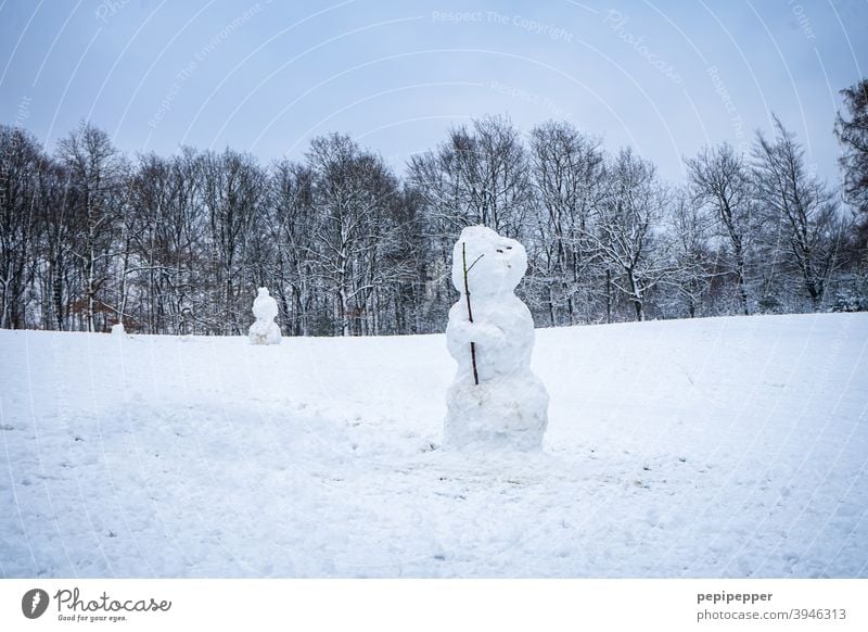 Snowman standing there like a lonely soldier Soldier Loneliness Lonely Winter Cold White Exterior shot Joy Playing Nature Seasons Christmas Happy