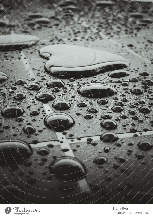 Heart of rain black and white. Heart-shaped Rain Drop Drops of water Love Romance Valentine's Day Emotions Declaration of love With love Close-up Exterior shot