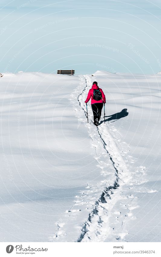 Now hurry | so I can get to the wooden bench faster. Snow hiking Winter vacation Cold Beautiful weather person Hiking Going To enjoy enjoyment Red White Tracks