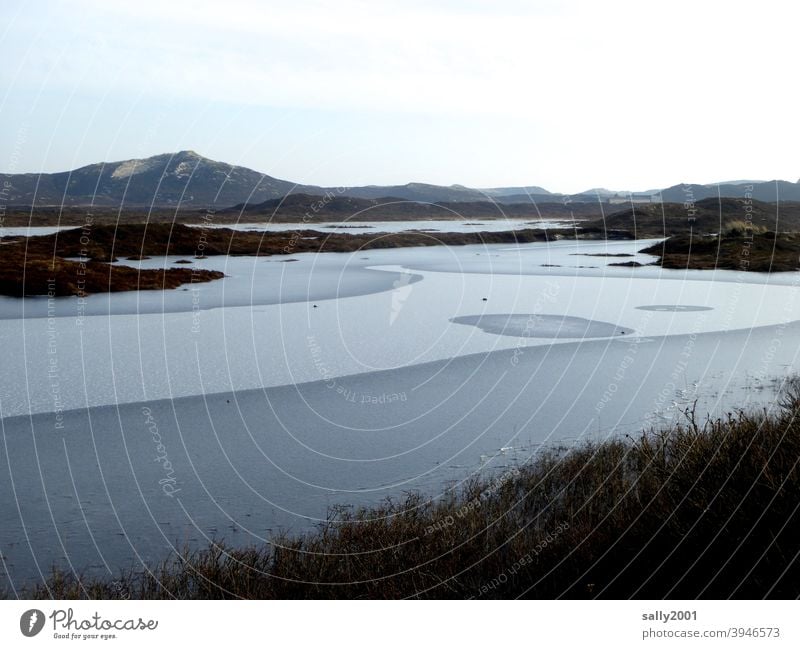 frozen lake in the dunes Lake Pond Winter Frozen Cold duene dune landscape Sylt Ice freezing cold Frozen surface freeze winter tranquillity Calm solidification