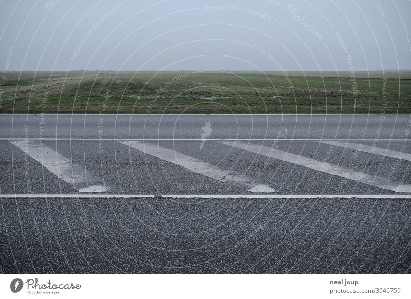 Horizon line with horizontal lane markings Landscape Plain Fog Diffuse Traffic lane Nature Deserted Exterior shot Lane markings Traffic infrastructure Street