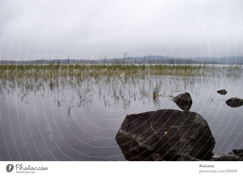 muuratsalo Finland Lake Scandinavia Nature Landscape Stone