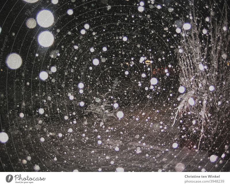 Snow flurries in the night with flashed thick snowflakes snow flurries Snowfall White darkness Night Night shot Flash photo Winter snowy Cold Exterior shot