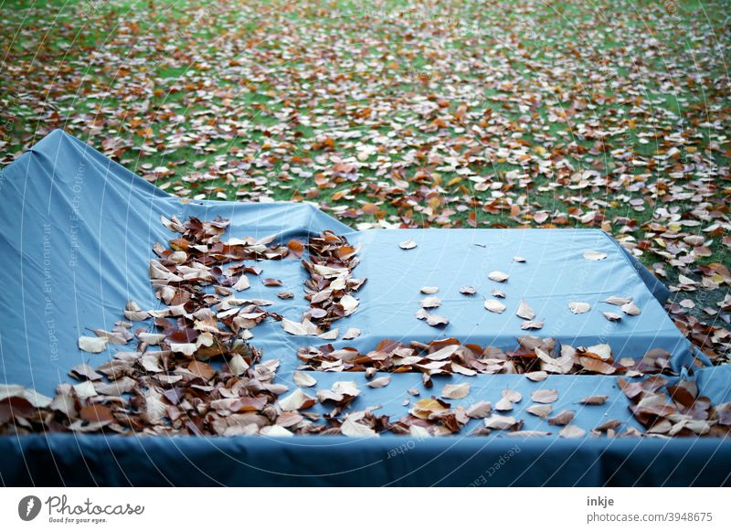 autumn Deserted Colour photo foliage Autumn tarpaulin Garden Lawn Outdoor furniture covered Blue Green autumn colours Limp autumn mood cold and damp