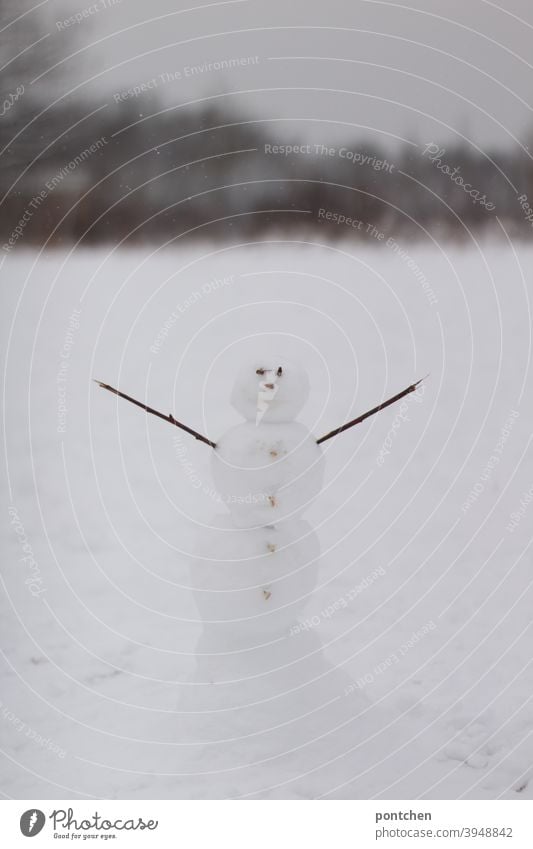 A snowman stands in the snow with his arms outstretched. Winter Snowman Climate change Children's game fun Joy White Seasons Nature Playing Happy Infancy