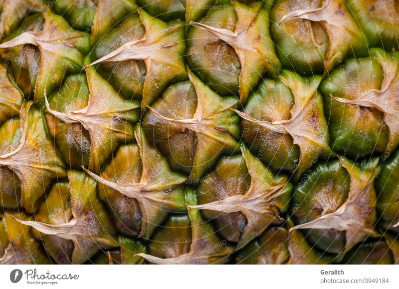 peel of ripe pineapple macro closeup background blank template detailed exotic exotic fruit food pineapple pattern pineapple peel pineapple texture ripe fruit