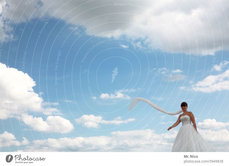 Wedding I Kitsch knows no boundaries Wedding dress Bride Festive White wedding ceremony Sky Beautiful weather Happy Joy Joie de vivre (Vitality) Clouds Feminine