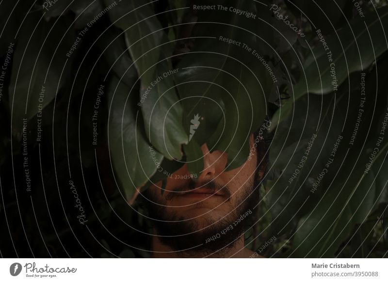 Dramatic conceptual portrait of a man half hidden among dark green tropical leaves dramatic portrait Caucasian Spring time Spring season dark and moody