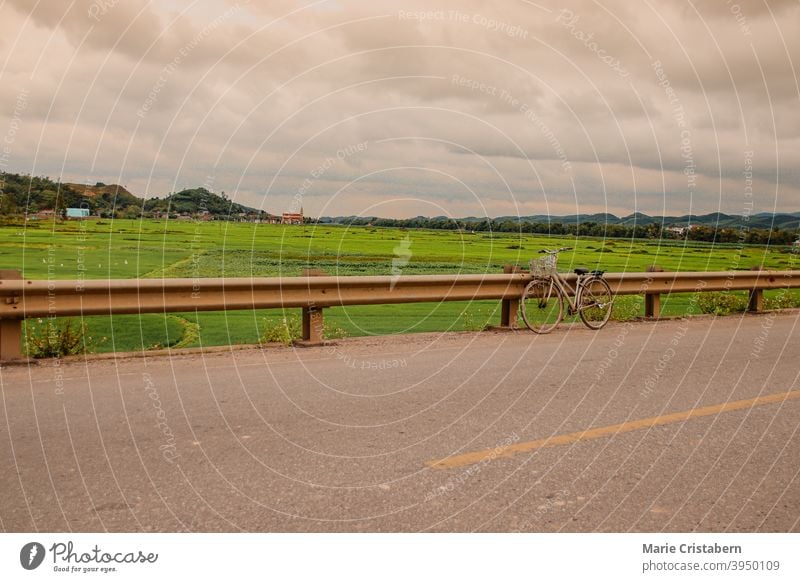 Old fashioned bicycle park at the side of a countryside road on a bright sunny summer day summer time tropical summer old fashion bicycle lifestyle leisure