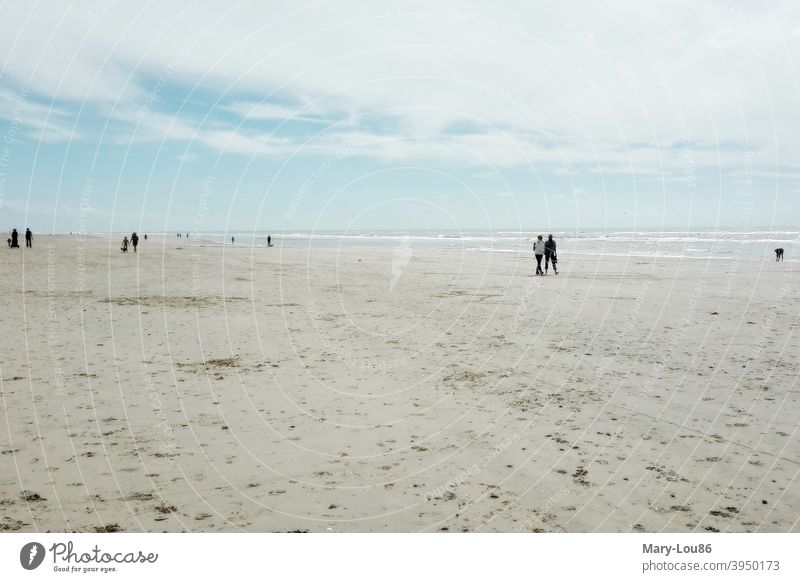 People on the beach Beach Ocean people To go for a walk Trip Walk on the beach Structures and shapes Vacation & Travel Exterior shot Sand Nature coast Landscape