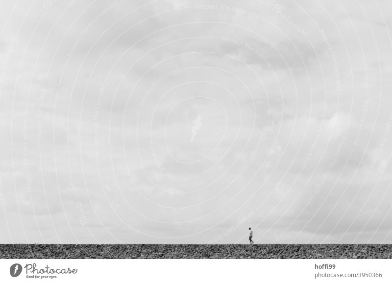 a lonely wanderer in the Wadden Sea Human being Low tide Beach Lanes & trails North Sea Mud flats Loneliness coast Silhouette Horizon Winter Going by oneself