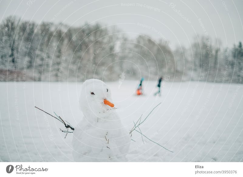 A snowman in a winter landscape Snowman White Winter carrot Landscape Snowscape Winter's day