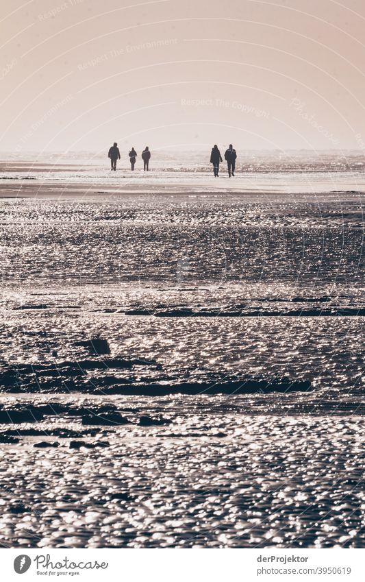 Noon in San Peter-Ording at the beach with human shadows XII Wide angle Panorama (View) Long shot Worm's-eye view Deep depth of field Sunrise Sunlight