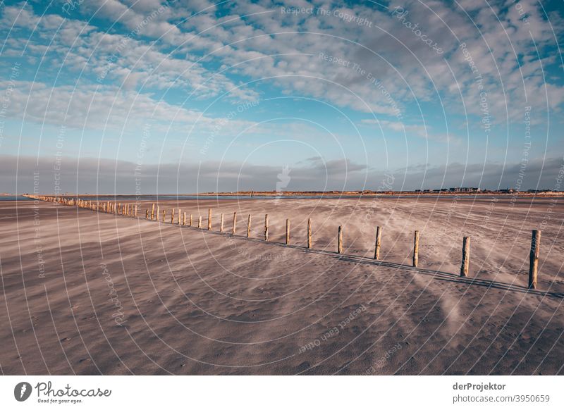 Lunch on the beach in San Peter-Ording I Wide angle Panorama (View) Long shot Worm's-eye view Deep depth of field Sunrise Sunlight Light (Natural Phenomenon)