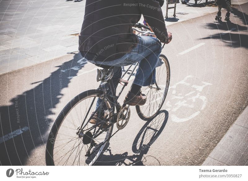 Cyclist riding a bike lane in a maritime neighborhood cyclist bicycle sun shadow asphalt background city healt transport way street symbol park road wheel pedal